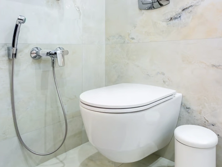 Toilet Repair and Installation service in Auburn